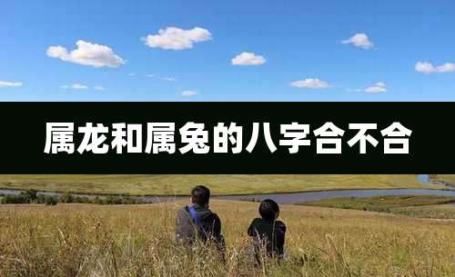 属龙和属兔的八字合不合