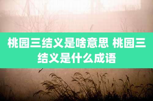 桃园三结义是啥意思 桃园三结义是什么成语