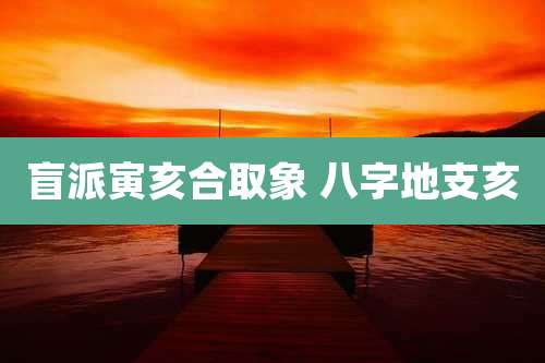 盲派寅亥合取象 八字地支亥