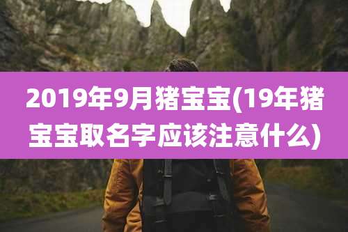 2019年9月猪宝宝(19年猪宝宝取名字应该注意什么)