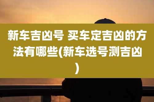 新车吉凶号 买车定吉凶的方法有哪些(新车选号测吉凶)
