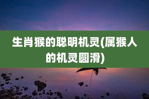 生肖猴的聪明机灵(属猴人的机灵圆滑)