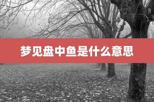 梦见盘中鱼是什么意思