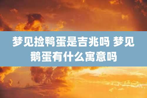 梦见捡鸭蛋是吉兆吗 梦见鹅蛋有什么寓意吗