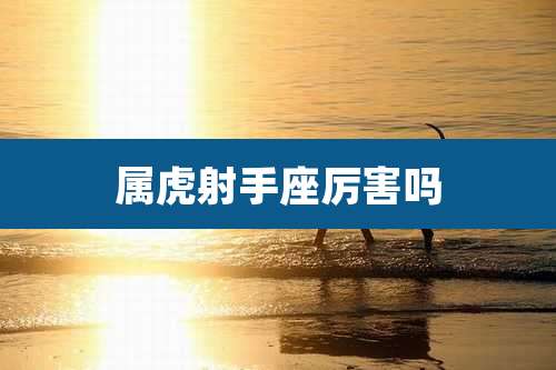 属虎射手座厉害吗