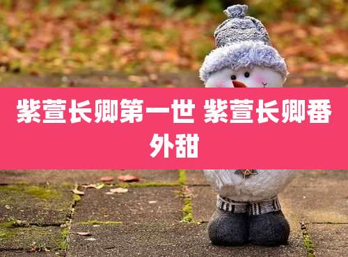 紫萱长卿第一世 紫萱长卿番外甜