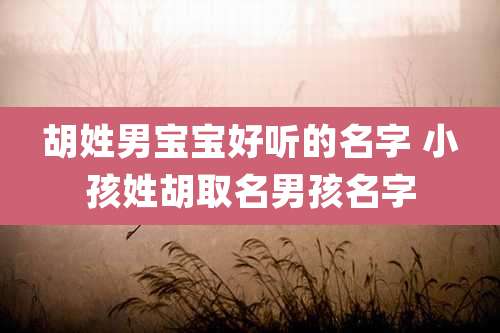 胡姓男宝宝好听的名字 小孩姓胡取名男孩名字