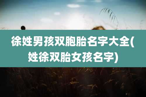 徐姓男孩双胞胎名字大全(姓徐双胎女孩名字)
