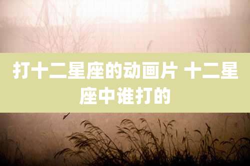 打十二星座的动画片 十二星座中谁打的
