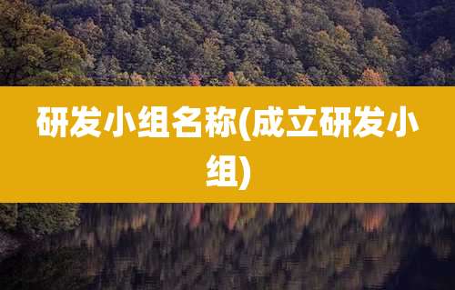 研发小组名称(成立研发小组)