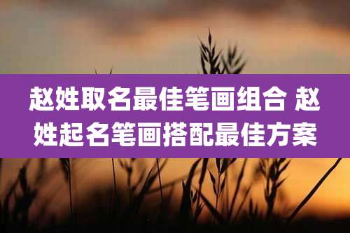 赵姓取名最佳笔画组合 赵姓起名笔画搭配最佳方案