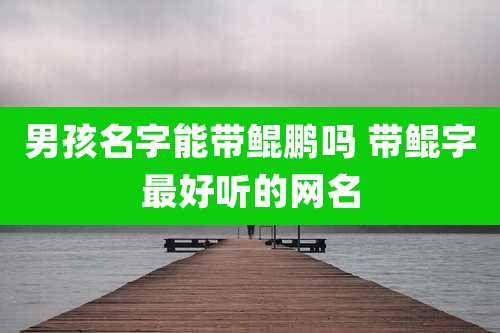 男孩名字能带鲲鹏吗 带鲲字最好听的网名