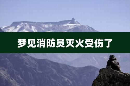 梦见消防员灭火受伤了