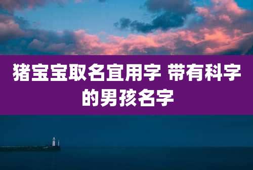猪宝宝取名宜用字 带有科字的男孩名字