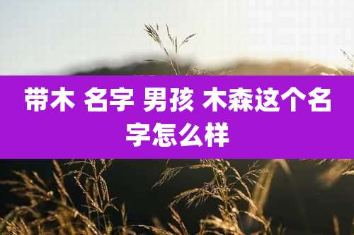 带木 名字 男孩 木森这个名字怎么样