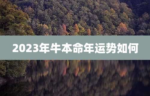 2023年牛本命年运势如何