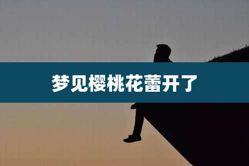 梦见樱桃花蕾开了