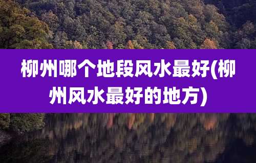 柳州哪个地段风水最好(柳州风水最好的地方)