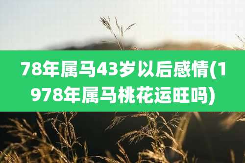78年属马43岁以后感情(1978年属马桃花运旺吗)