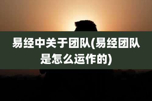 易经中关于团队(易经团队是怎么运作的)