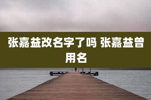 张嘉益改名字了吗 张嘉益曾用名