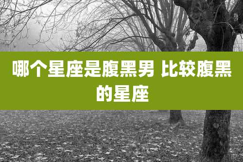 哪个星座是腹黑男 比较腹黑的星座