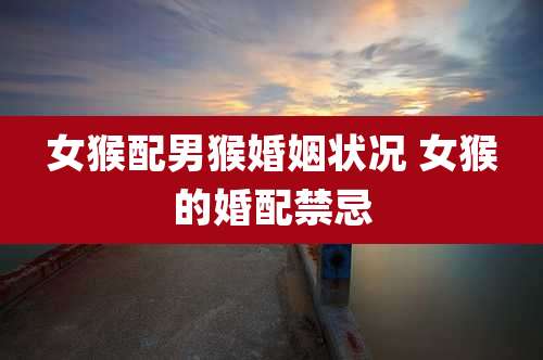 女猴配男猴婚姻状况 女猴的婚配禁忌