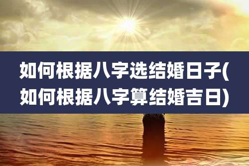 如何根据八字选结婚日子(如何根据八字算结婚吉日)