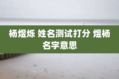 杨煜烁 姓名测试打分 煜杨名字意思