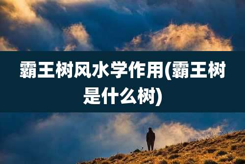 霸王树风水学作用(霸王树是什么树)