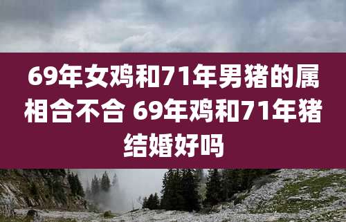 69年女鸡和71年男猪的属相合不合 69年鸡和71年猪结婚好吗