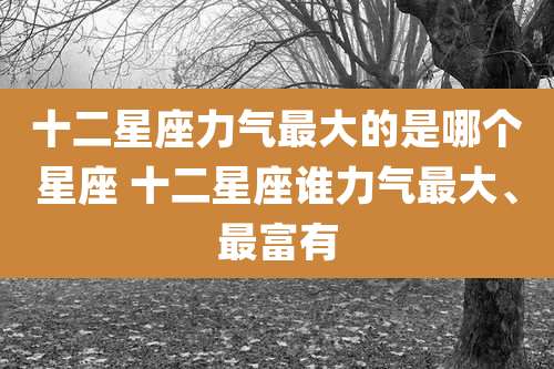 十二星座力气最大的是哪个星座 十二星座谁力气最大、最富有
