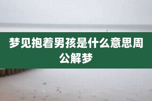 梦见抱着男孩是什么意思周公解梦