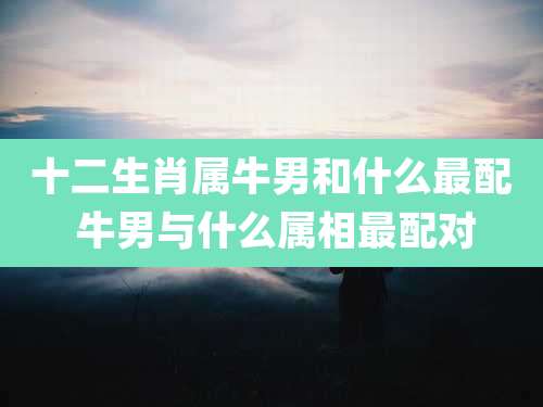十二生肖属牛男和什么最配 牛男与什么属相最配对