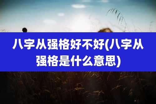 八字从强格好不好(八字从强格是什么意思)