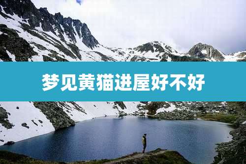梦见黄猫进屋好不好