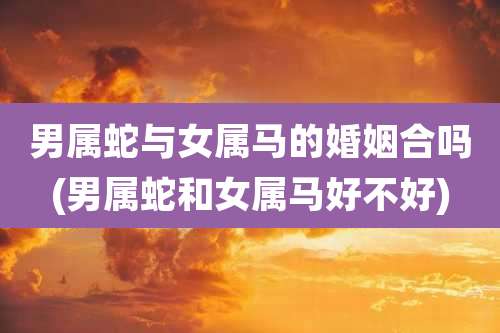 男属蛇与女属马的婚姻合吗(男属蛇和女属马好不好)