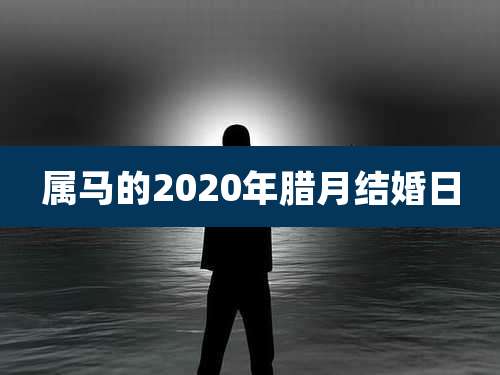 属马的2020年腊月结婚日