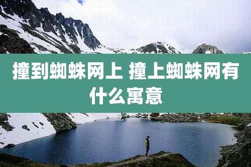 撞到蜘蛛网上 撞上蜘蛛网有什么寓意