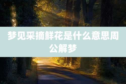 梦见采摘鲜花是什么意思周公解梦