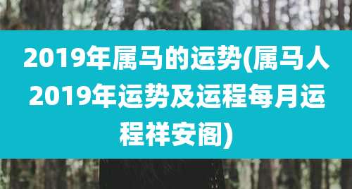 2019年属马的运势(属马人2019年运势及运程每月运程祥安阁)