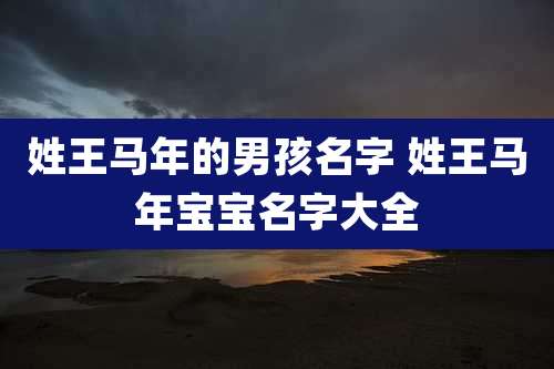 姓王马年的男孩名字 姓王马年宝宝名字大全