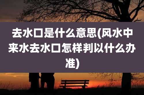 去水口是什么意思(风水中来水去水口怎样判以什么办准)