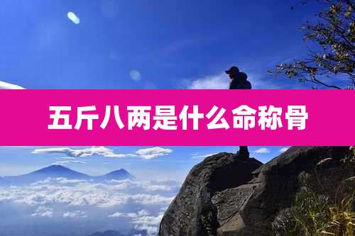 五斤八两是什么命称骨