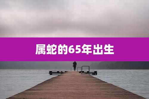属蛇的65年出生