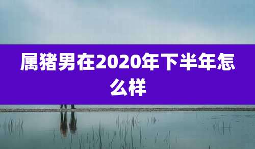 属猪男在2020年下半年怎么样