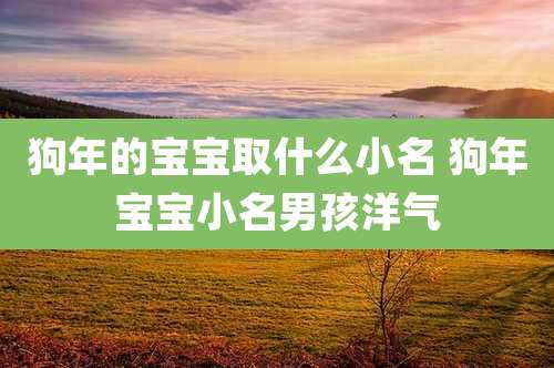 狗年的宝宝取什么小名 狗年宝宝小名男孩洋气