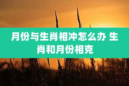 月份与生肖相冲怎么办 生肖和月份相克