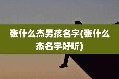 张什么杰男孩名字(张什么杰名字好听)
