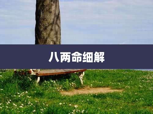 八两命细解